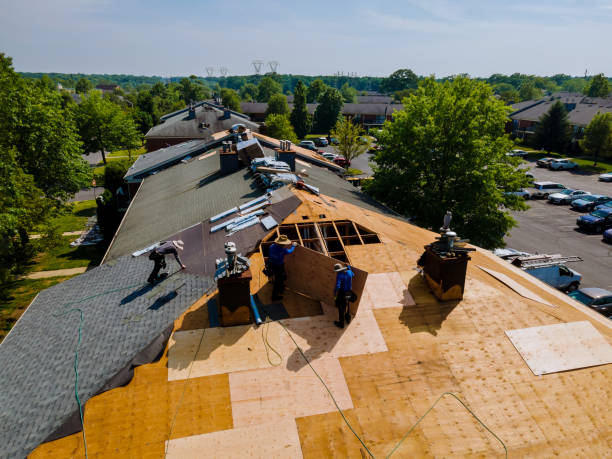 Trusted Roof Installation service in Elberon, VA - Brentwood Metal Roofing